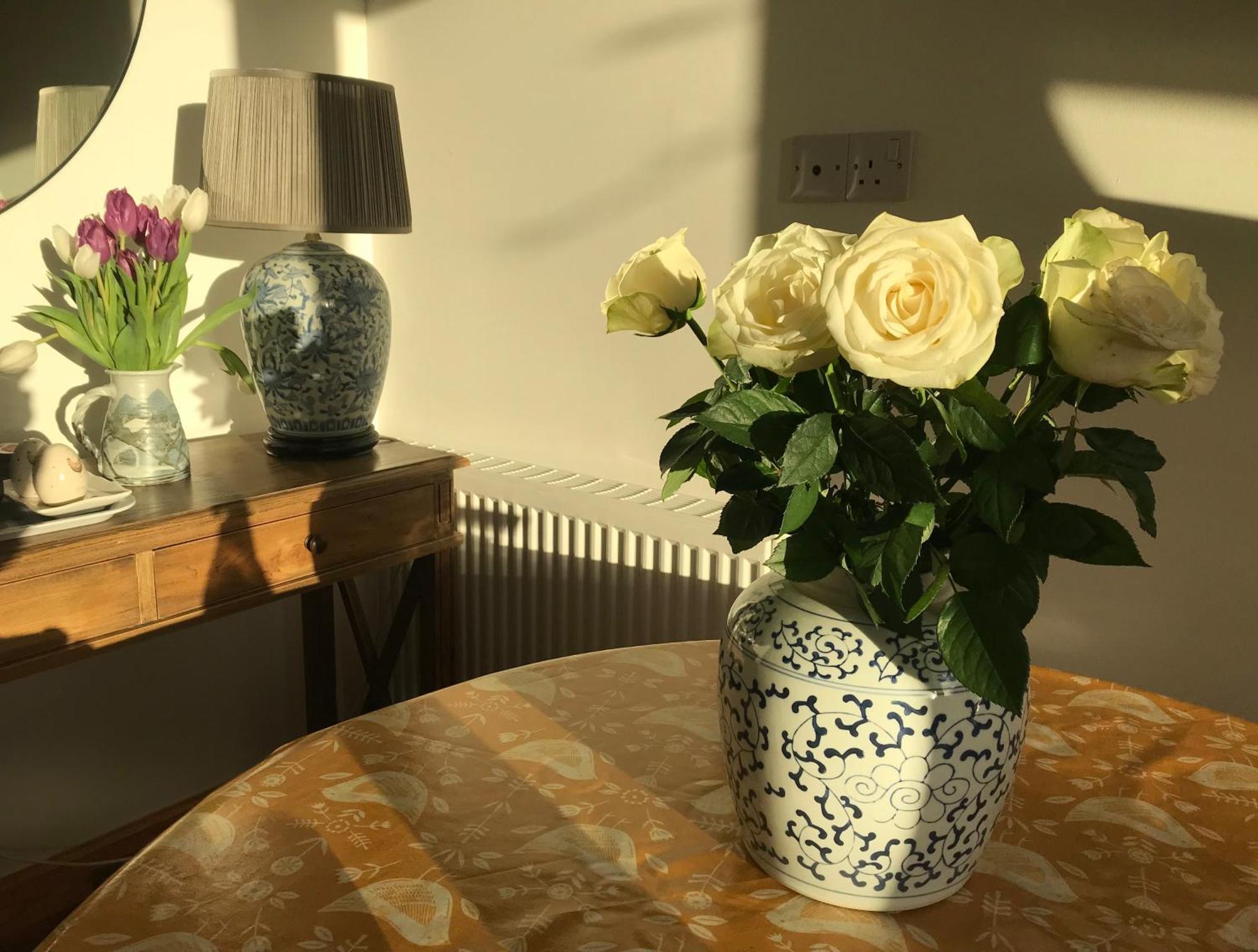 City Central Quiet Garden Apartment With Free Parking インヴァネス エクステリア 写真