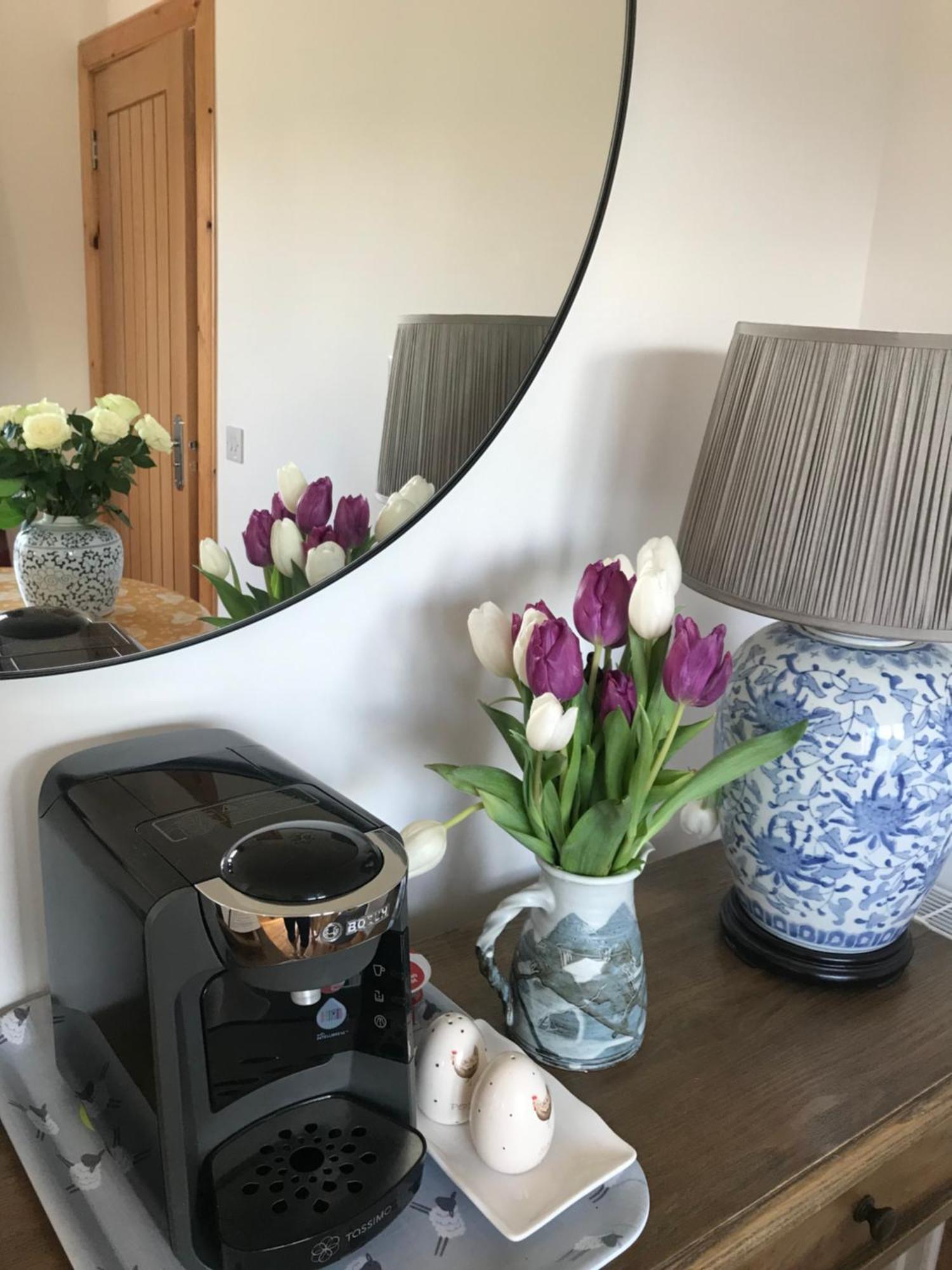 City Central Quiet Garden Apartment With Free Parking インヴァネス エクステリア 写真