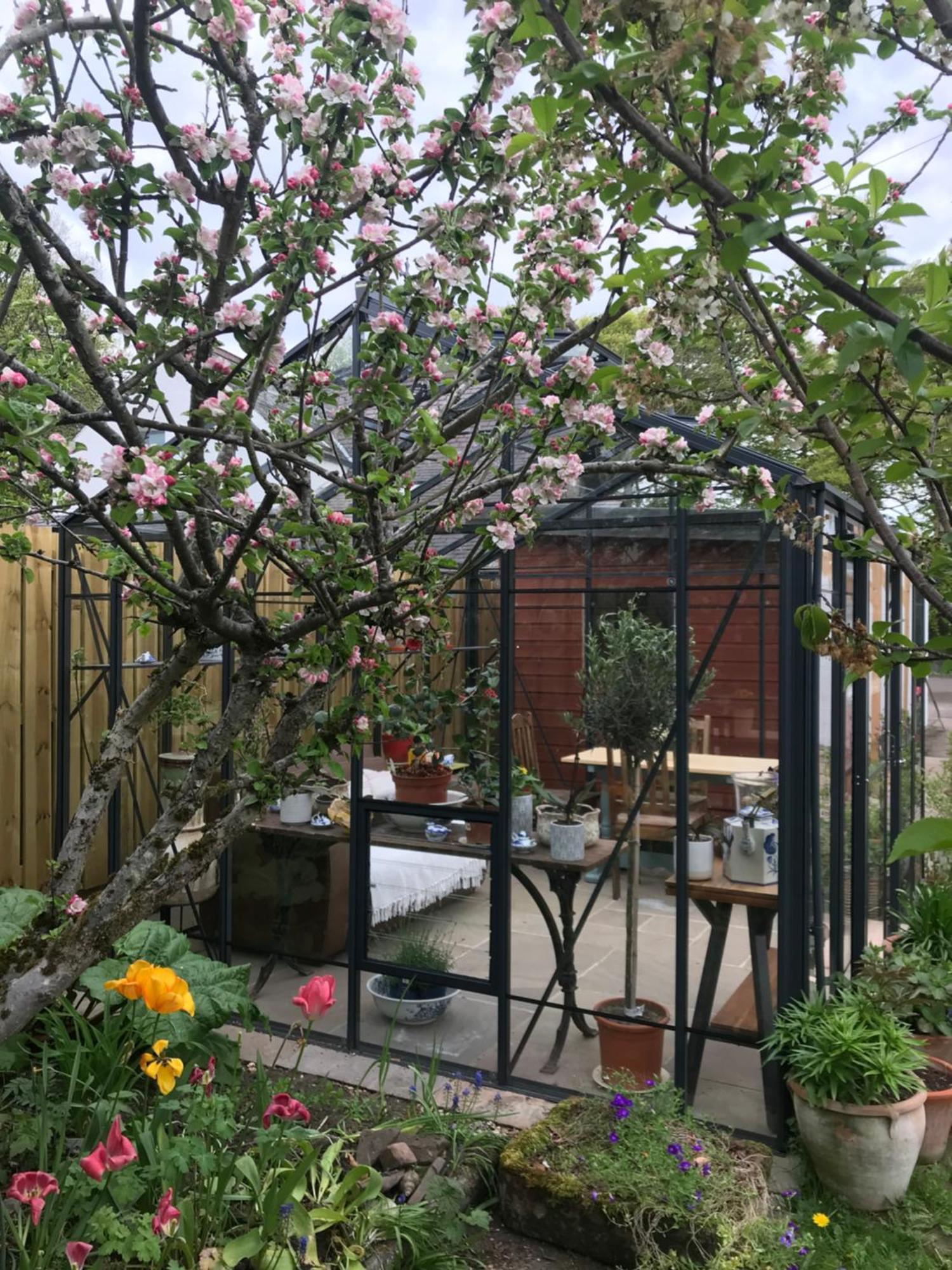 City Central Quiet Garden Apartment With Free Parking インヴァネス エクステリア 写真